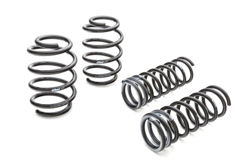 Eibach Cobra Pro-Kit Performance Lowering Springs (1999-2001)